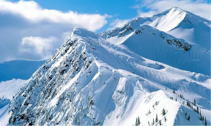 best-price-gurantee flight reservation